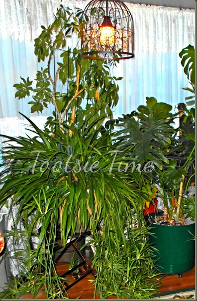BeFunky_029.jpg BeFunky_029.jpg