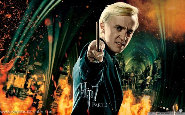 harry-potter-and-the-deathly-hallows-wallpapers-desbaratinando-reliqueas-da-morte (35)