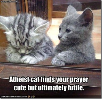 Atheist cat