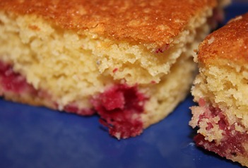 IMG_5393 IMG_5393