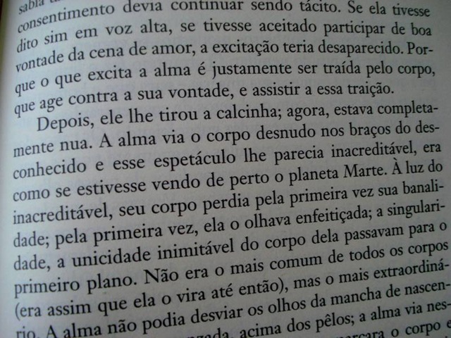 [insustentavellevezadoser_deniac3%255B3%255D.jpg]
