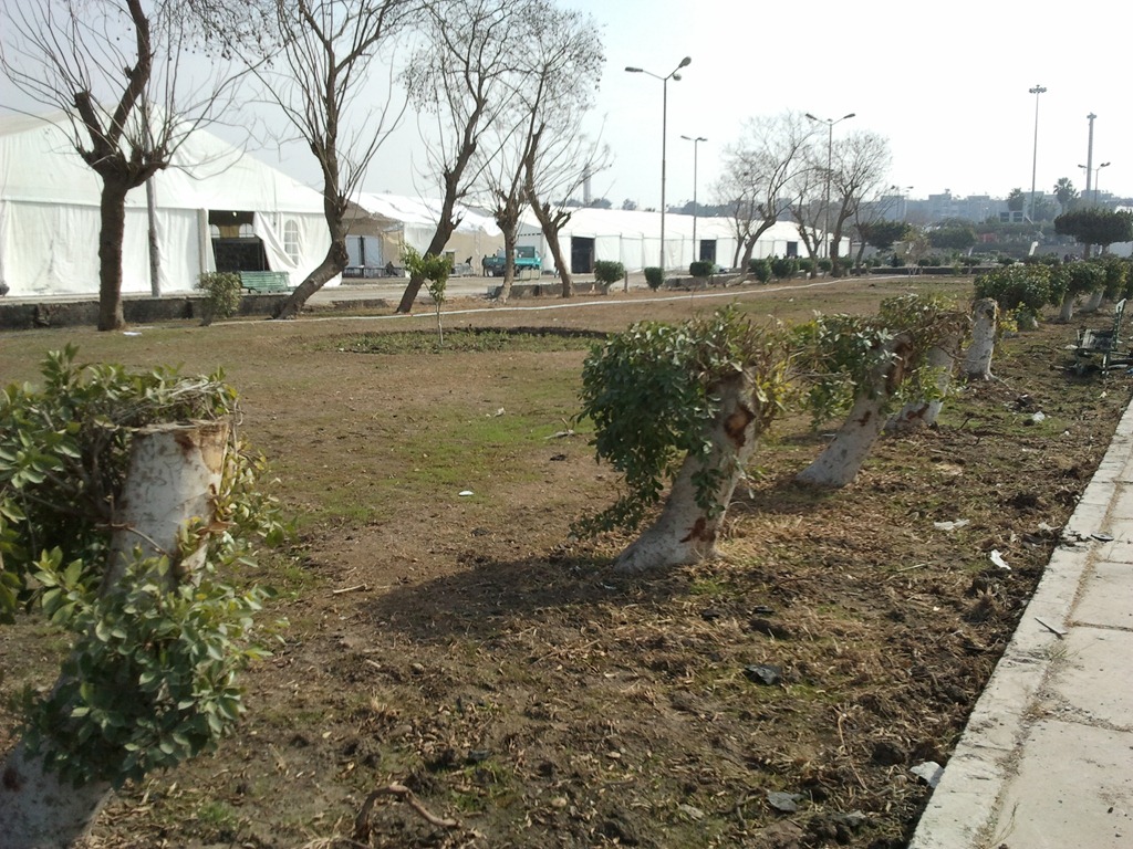 [2012-01-23%252012.23.51%255B3%255D.jpg]