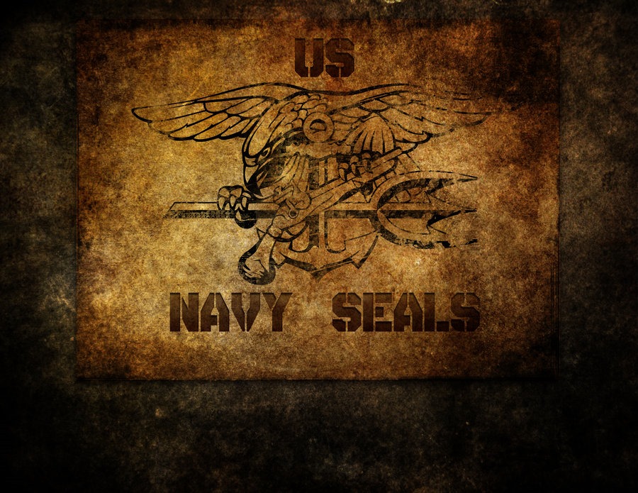 [navy_seals_by_hickory2211-d3e40v1%255B4%255D.jpg]