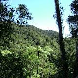 Tramping Club Orientation - Waitakere