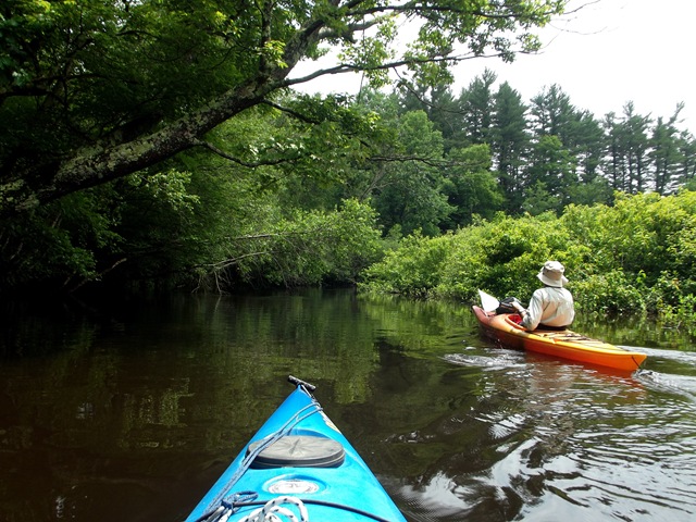 [KayakingtheExeterRiver026.jpg]