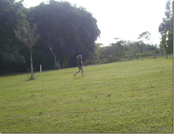 IMG_0647 IMG_0647