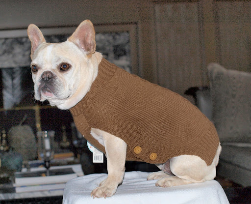 Nice, Sharkey. That brown barn sweater does wonders for your coloring. But I think we need a cleaner background. Nice, Sharkey. That brown barn sweater does wonders for your coloring. But I think we need a cleaner background.