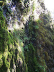 columbia_river_gorge