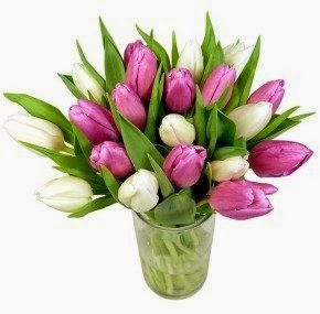 [Mothers%2520Day%2520Flowers%2520%2528Free%2520Delivery%2529%2520-%2520Sweetheart%2520Tulips%255B4%255D.jpg]