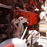 P5303447.JPG