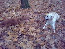 19112011198.jpg