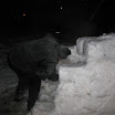 AdlerIglu43.JPG