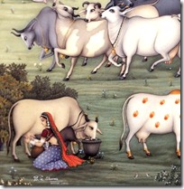 cow protection