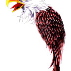 eagle-35.jpg