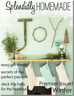 winterl 2011 cover