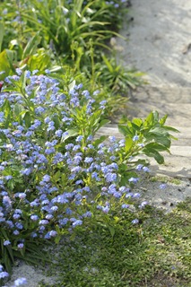 _20100522_162439