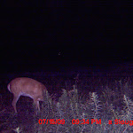 MDGC0258.JPG