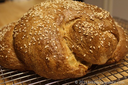 [apple-honey-whole-grain-challah_0691%255B1%255D%255B1%255D.jpg]