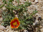 p1269762887(17).jpg