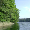 dsc03239.jpg