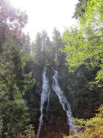 IMG_0045.JPG Photo