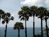  Phuket Adası Resimleri Fotoğrafları