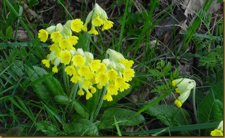 vicqapril2011 016