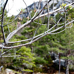 DSC_0423.jpg