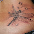 dragonfly - tattoo designs