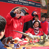 Ferias Colegio Alberto Perez