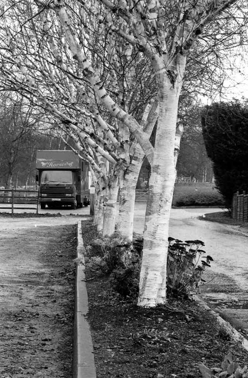 [The-Trees-15%255B8%255D.jpg]