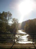 IMG_4652.JPG Photo