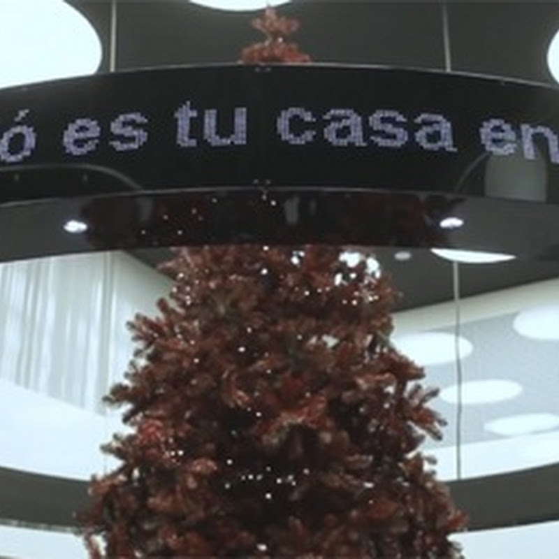BARCELÓ protagoniza el reencuentro más emotivo para su campaña navideña