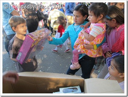 IMG_0529 IMG_0529