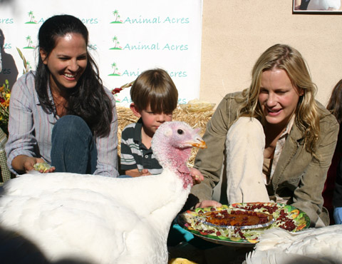 Role models like Daryl Hannah and Jorja Fox help teach peace and compassion to kids at Animal Acres. Here they are feeding the turkeys a pumpkin pie at the sanctuary's annual Compassionate Thanksgiving event. Role models like Daryl Hannah and Jorja Fox help teach peace and compassion to kids at Animal Acres. Here they are feeding the turkeys a pumpkin pie at the sanctuary's annual Compassionate Thanksgiving event.