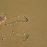 DSC01222.JPG