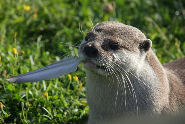 [IMG_1233-001%255B6%255D.jpg]