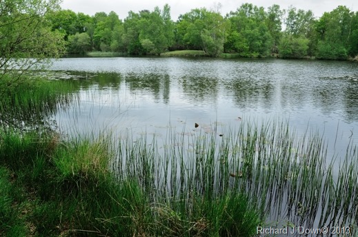DSC_3002_web DSC_3002_web