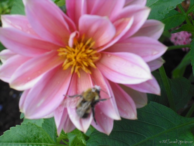 [20110624_33%255B13%255D.jpg]