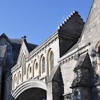 DSC_7387-2.jpg