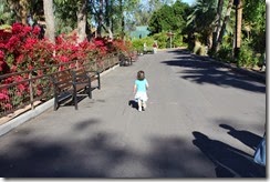 IMG_6508 IMG_6508