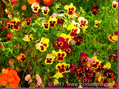 DSCN1956 DSCN1956