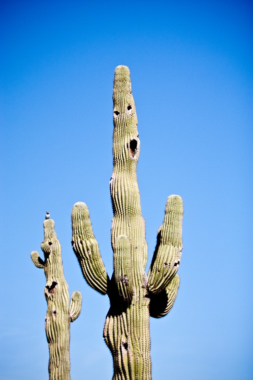 [20111231-IMG_0159%255B3%255D.jpg]