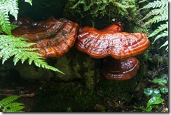 IMG_1029 IMG_1029