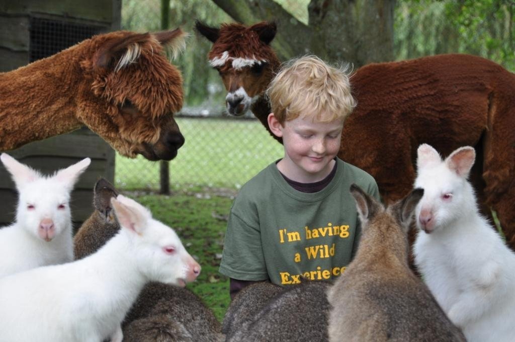 [Elliott%2520with%2520Wallabies%255B3%255D.jpg]