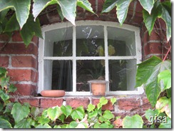 IMG_2559