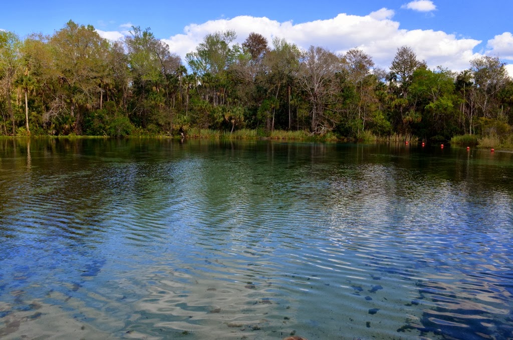 [Alison%2520visits_030%255B4%255D.jpg]