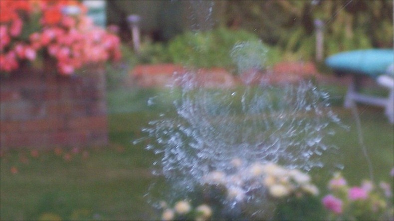 bird-imprints-13 bird-imprints-13