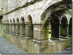 Connemara. Headford. Ruinas del convento Ross Errilly - P5081034