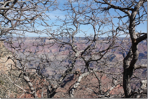 Grand Canyon trip 061